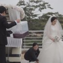 피디스카이