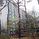 동탄원천로1109번길 이미지