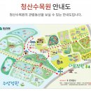 연원목장 | 태안 애견 동반 데이트 코스 추천: 청산수목원 팜파스 &amp; 핑크뮬리 후기^^,, (살짝 비추)