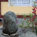 내원사 - 811 | 내원사