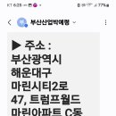 부산산업전무부인 이미지