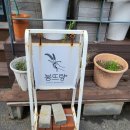 감성커피제주