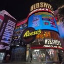 각국 도시로 떠나는 문학여행 | 라스베가스 여행 아이와 가볼만한곳 아이랑 코스