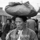 장터이야기