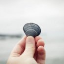 거기에/거기에서 이미지