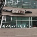 디오 동물병원 이미지