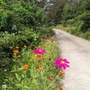 방주농장 이미지