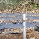 부목농장 이미지