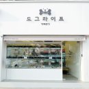 도그라이프 대구강아지분양 이미지