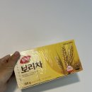 [D+30] 호주 브리즈번 워킹홀리데이 충격적인 한 달 생활 비용 및 현실 후기