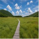 인제06-1 이미지