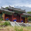 대구, 신숭겸장군 유적지에는 배롱나무가 화사합니다 이미지