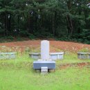 민순선생묘 및 신도비 이미지