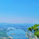 서유5호 이미지