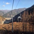 2025.11.22 정선아리랑 시장 이미지