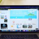 디자인사이트