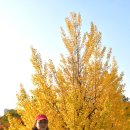 갤러리순 이미지