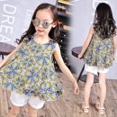 레몬트리 이미지