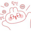 핑크슈슈 이미지