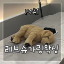 [송파] ‘레브슈가링왁싱’ 꼼꼼하고 친절한 브라질리언 후기