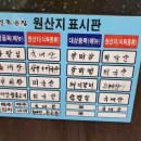 코기조은집 이미지