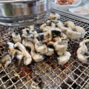 장어의 꿈 이미지