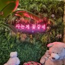 커피소래비 - 181189 | 샌드위치가 맛있는 마석역카페 커피소래비 후기완료!