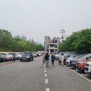 천마산강장어