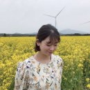 태희상회 이미지