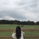 하즐 | 애매한 기장이라면? 제주 웨딩붙임머리 부분붙임머리 추천