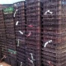 인영상사 이미지