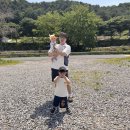 맘마 논 맘마 펜션 민박 | 가평 쥬쥬키즈풀빌라 101호 조식 주는 키즈펜션 추천