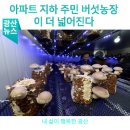 시영농장2 네이버블로그