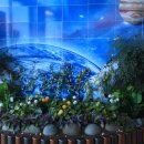 우주전망대 이미지