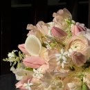 눈록 | [본식후기]원하는 느낌 그대로! 영등포 눈록 부케 제작 솔직 후기 💐