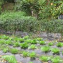 둥이네농장2 이미지