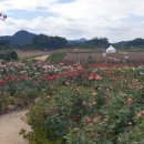 010-교하-010 이미지