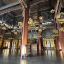 창덕궁 빛바람들이기 행사 일정 후기와 3/29 봄꽃 홍매화 구경 현황