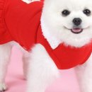 루피독 네이버블로그