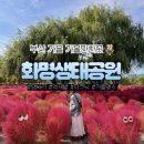 화명생태공원(화명운동장 내) | 부산 가을 피크닉 추천! 화명생태공원 댑싸리 억새밭 인생샷 명소