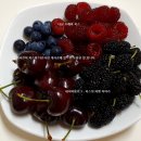 원웰빙청과 | ♥북스!! 경동시장(청량리시장) 저렴한 제철과일 후기 및 요즘 사는 이야기^^