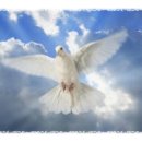 응암2-006 이미지