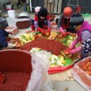 23호털보네횟집 이미지