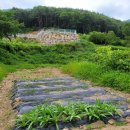 안촌회관 이미지