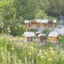 선진 양봉장 이미지