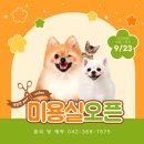 계절엔동물의료센터 미용실 이미지