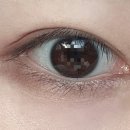 안경나라(금천현대)위드렌즈 이미지