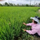 성수문량길 이미지