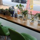 커피쏘냥 이미지