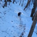 운천막국수 이미지